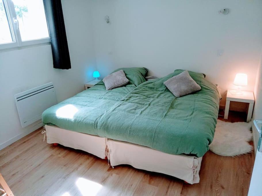 Charmant Loft Avec Jardin Pres Du Centre Ville Amboise Zewnętrze zdjęcie